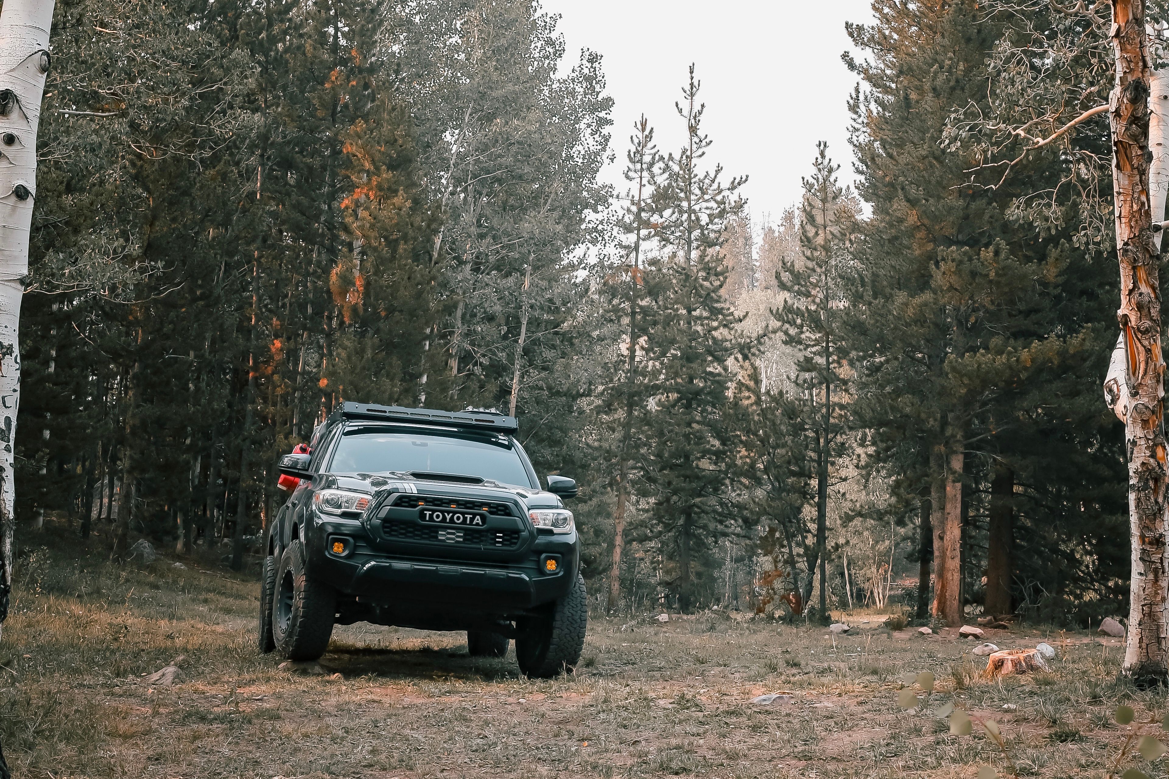 Black Toyota Tacoma parked among trees in a forest setting.